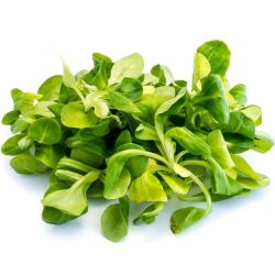 Зелена салата фелд (125 г)