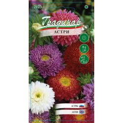 Градинар семена астра принцеса микс, 2123 (1 бр.)