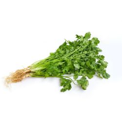 Кориандър пресен (25 г)