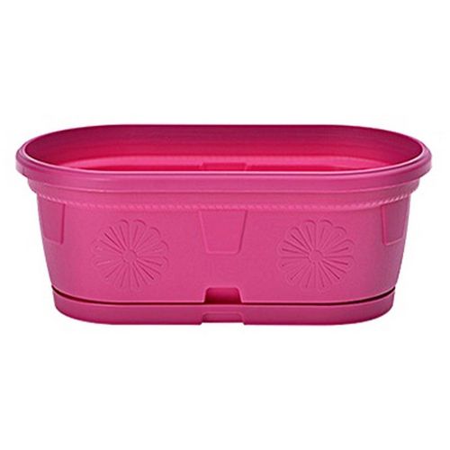 Сандъче Гербер 20 см с подложка , циклама (1 бр.)