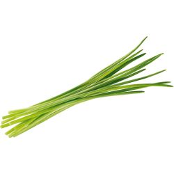 Див лук връзка (25 г)