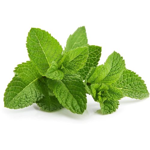 Листото мента (20 г)