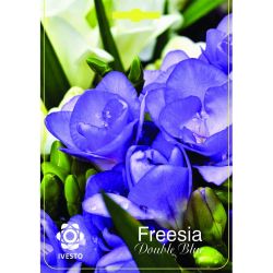 Ивесто Градински луковици Фрезия, Freesia double frowering blue, 7051 (5 бр.)