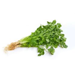 Кориандър (25 г)