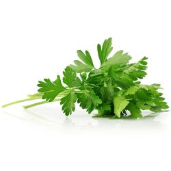 Магданоз (1 бр.)