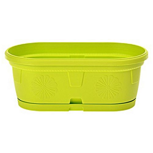 Сандъче Гербер 20 см с подложка , резедаво (1 бр.)