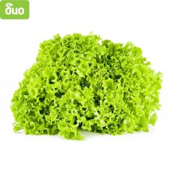 Моравско село био зелена салата (1 бр.)