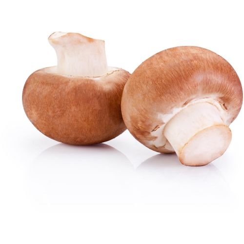 Гъби печурки кралски, на килограм (1 кг)