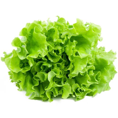 Зелена салата, опаковка (1 бр.)