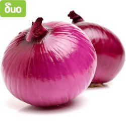 Моравско село био лилав лук (500 г)