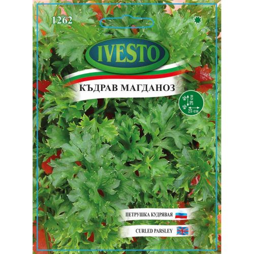 Ивесто семена магданоз къдрав, 1262 (1 бр.)