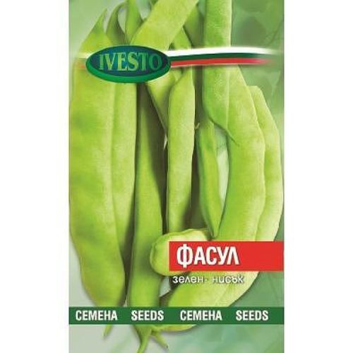 Ивесто семена зелен нисък фасул, 3692 (1 бр.)