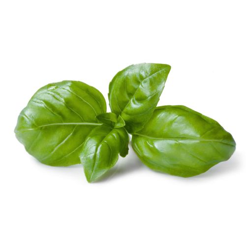 Босилек (25 г)