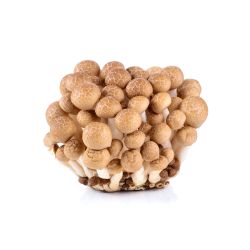 Гъби шимеджи, кафяви (150 г)