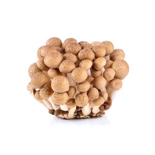 Гъби шимеджи, кафяви (150 г)