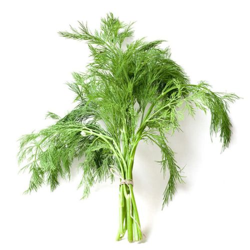 Копър (1 бр.)