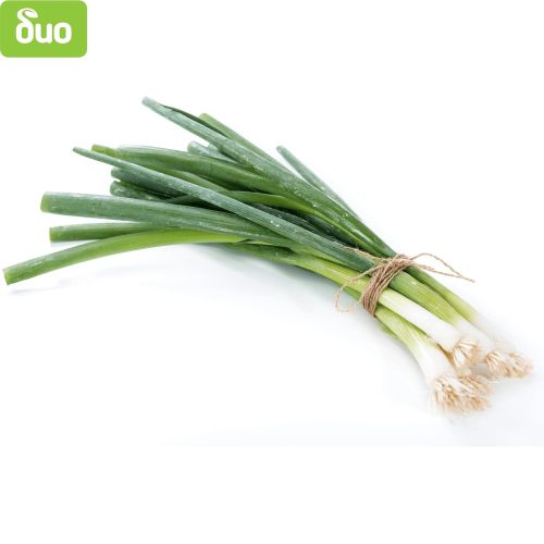 Моравско село био зелен лук връзка (1 бр.)