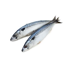 Скумрия, размразена, на килограм (1 кг)