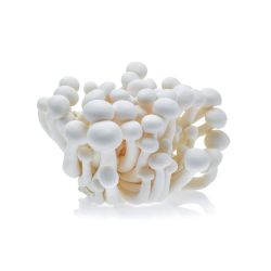 Гъби шимеджи, бели (150 г)