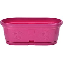 Сандъче Гербер, цикламено с подложка 35 см (1 бр.)