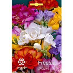 Ивесто Градински луковици Фрезия, Freesia double frowering mixed, 7052 (5 бр.)