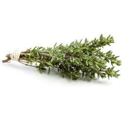 Мащерка прясна (25 г)