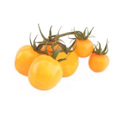 Домати на клонка, жълти, на килограм (1 кг)