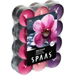 Spaas Wild Orchid чаени свещи (24 бр.)