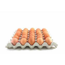 Искам яйца кокоши яйца, размер M (30 бр.)