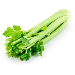 Целина стебла (1 бр.)