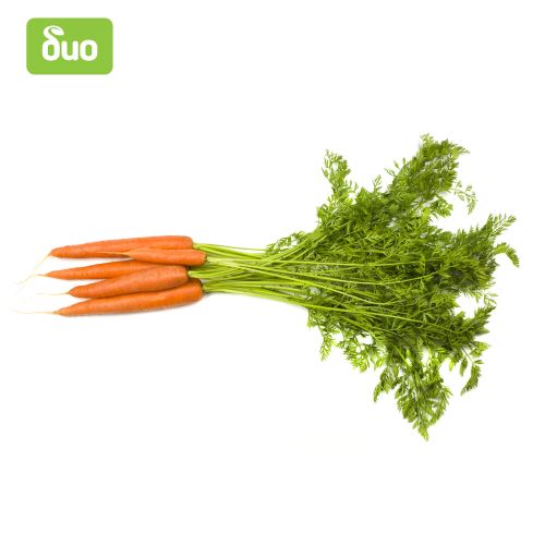 Био пресни моркови, връзка (5 бр.)