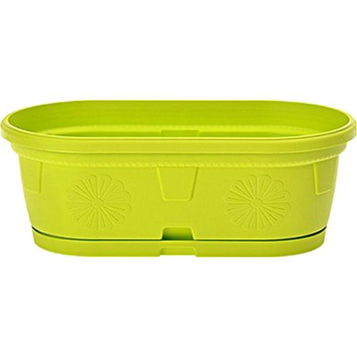 Сандъче Гербер 35 см с подложка , резедаво (1 бр.)