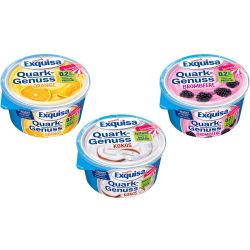 Exquisa плодова извара, различни вкусове (500 г)