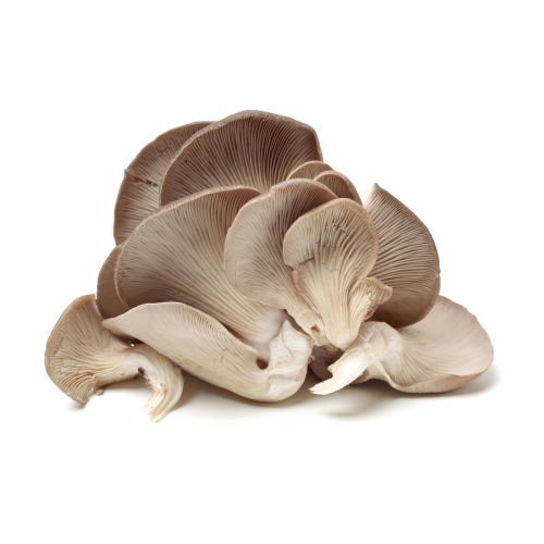 Гъби кладница (300 г)