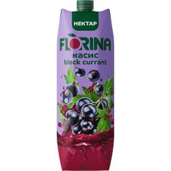 Florina сок касис 25% (1 л)