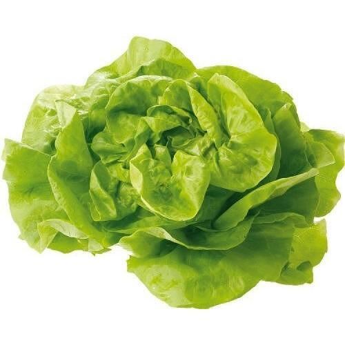 Зелена салата Kopf (1 бр.)