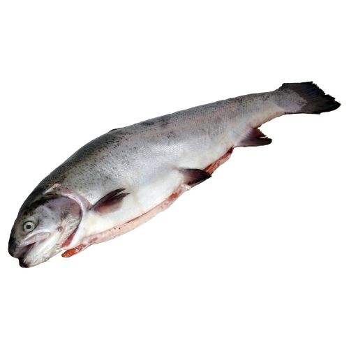 Сьомгова пъстърва чистена, охладена, с глави, на килограм (1 кг)