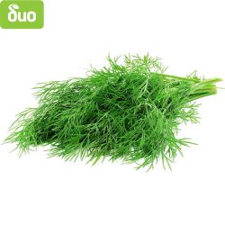 Моравско село био копър връзка (1 бр.)