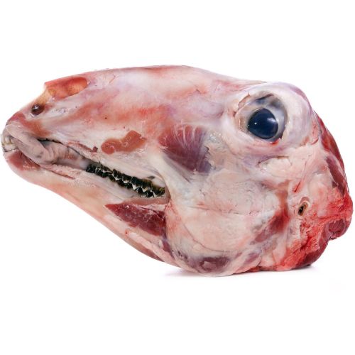 Агнешки глави, на килограм (1 кг)