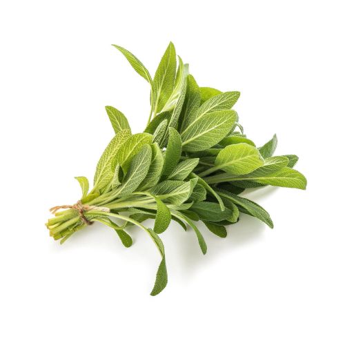 Салвия (25 г)