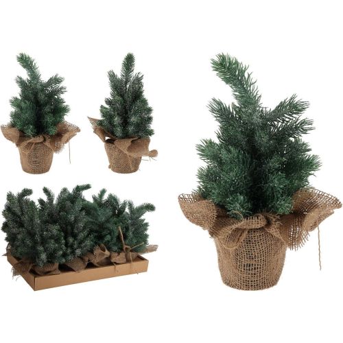 Коледно дърво в саксия, 30 см (1 бр.)