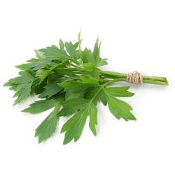 Листото девисил (20 г)