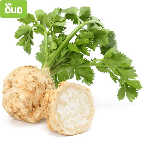 Моравско село био целина глава (1 бр.)