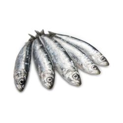 Фриса, охладена, на килограм (1 кг)