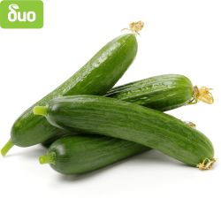 Моравско село био краставица (2 бр.)