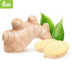 Моравско село био джинджифил (200 г)