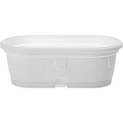 Сандъче Гербер, бяло с подложка 35 см (1 бр.)