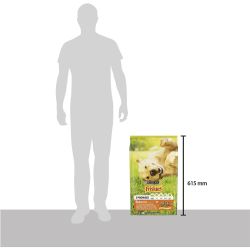 Purina Friskies Balance храна за кучета в зряла възраст, пиле (10 кг)