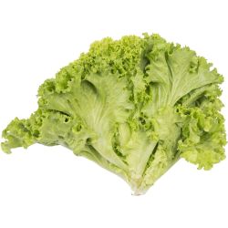 Салата Lolo Rosso (1 бр.)