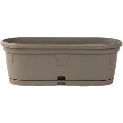 Сандъче гербер 20 см мока с подложка (1 бр.)